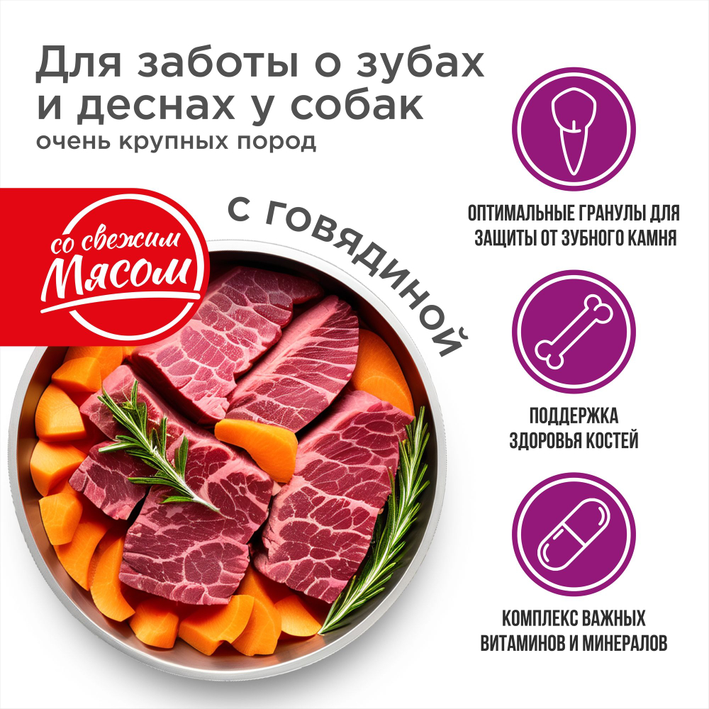 Корм сухой для взрослых собак очень крупных пород, премиум полнорационный комплекс, для заботы зубов и десен, с говядиной, 12 кг, QUATTRO