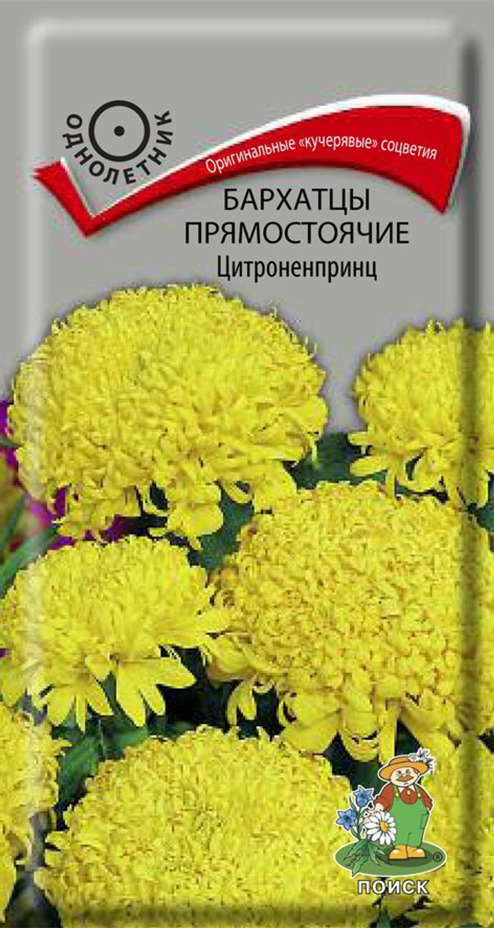 Бархатцы Цитроненпринц прямостоячие