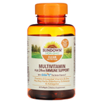 Sundown Naturals, Мультивитамины и поддержка иммунитета в течение 24 часов, 60 мягких таблеток