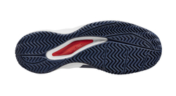 Мужские кроссовки теннисные Wilson Rush Pro Ace - небесный