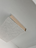 Встань, человек!