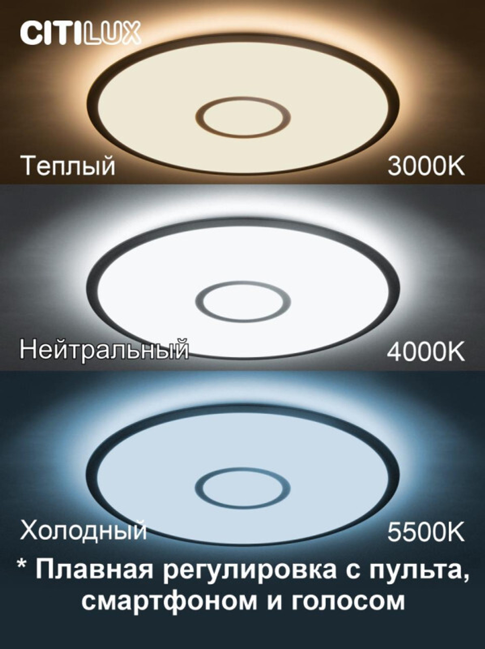 Накладной светильник Citilux CL703A81G