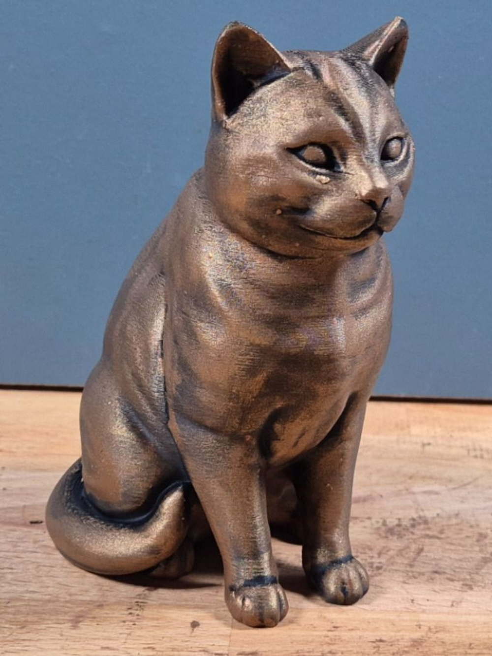 Американская короткошерстная кошка