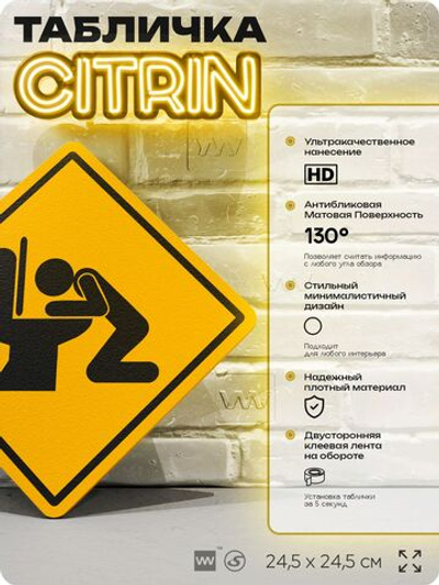 Табличка "Туалет" шуточная прикольная табличка на дверь и стену, для офиса и дома, декоративный знак, 24,5х24,5 см, пластиковая, Айдентика Технолоджи