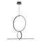 SL6113.433.01 Светильник подвесной ST-Luce Черный LED 1*50W 3000K GAIA