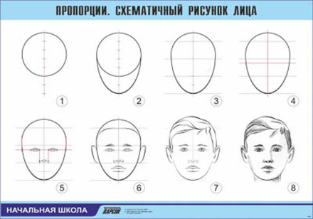 Таблица демонстрационная "Пропорции. Схематичный рисунок лица"