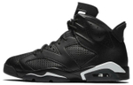 Кроссовки Jordan Air Jordan 6 Retro "Black Cat"