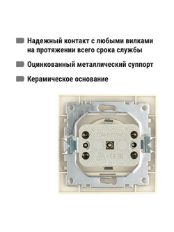 Розетка 2П+З с защ. шт. 16А 250В сл. кость "Таймыр" TDM