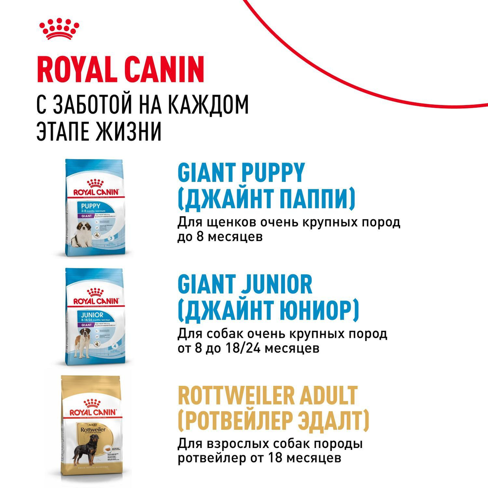 Royal Canin Giant Adult Корм сухой для взрослых собак очень крупных размеров 15 кг