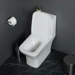 Унитаз-моноблок BelBagno NEON BB8617CPR-MN/SC белый, с крышкой микролифт, безободковый