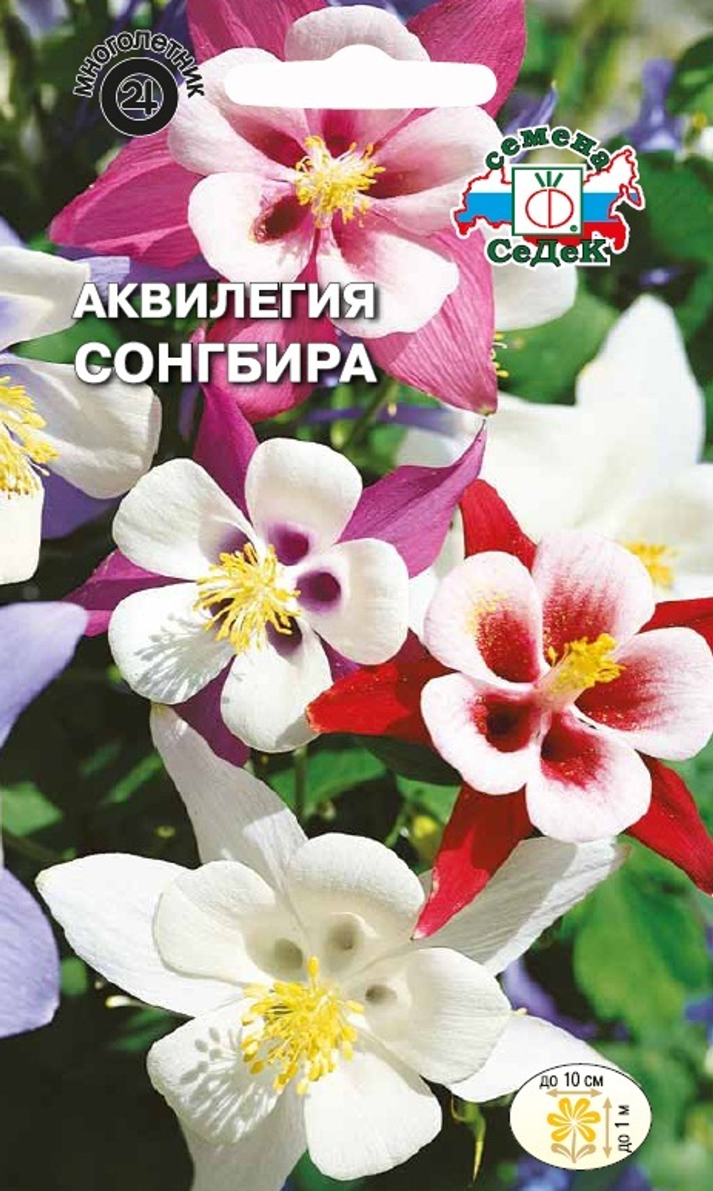 Аквилегия Сонгбира Седек