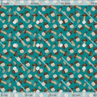 Белые грибы на бирюзовом фоне by Capricorn 556 DPI