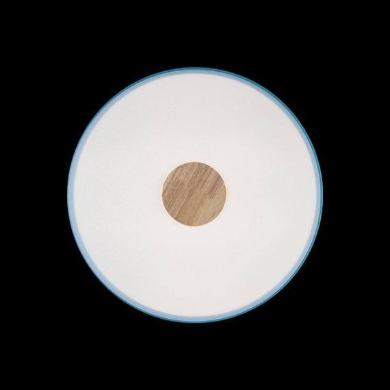 Потолочный светодиодный светильник Loft IT Axel 10003/24 blue