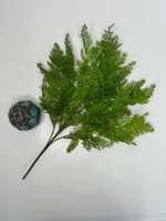 Куст папоротника / Арт 5015