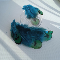 Перья фазана голубые с зеленым отливом 3-8 см. 10 шт.