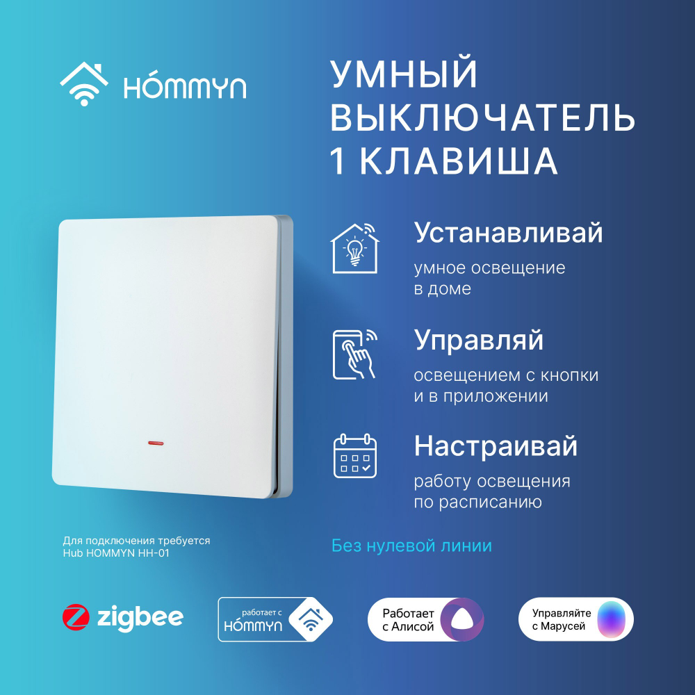 Комплект два умных одноклавишных выключателя и хаб Hommyn SW11HOMKIT04