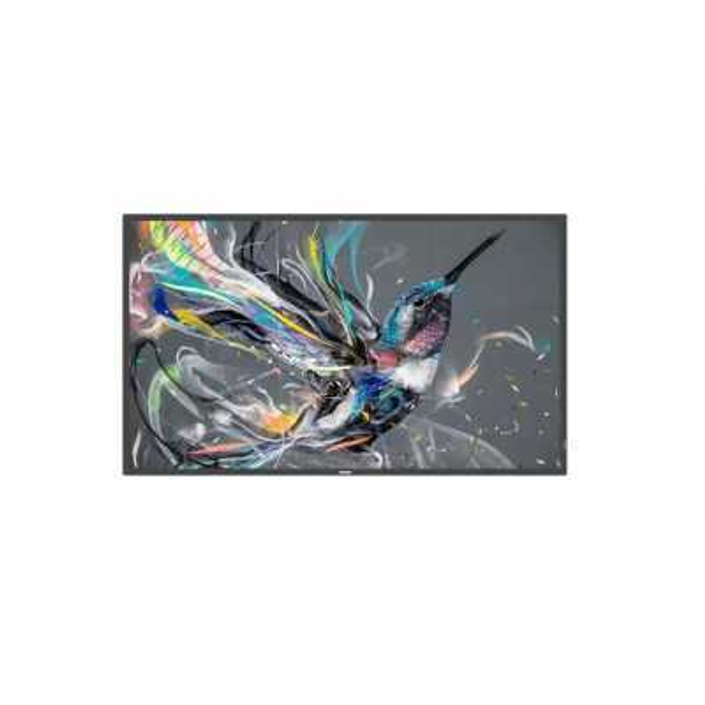 Профессиональный дисплей Philips 75BDL3511Q