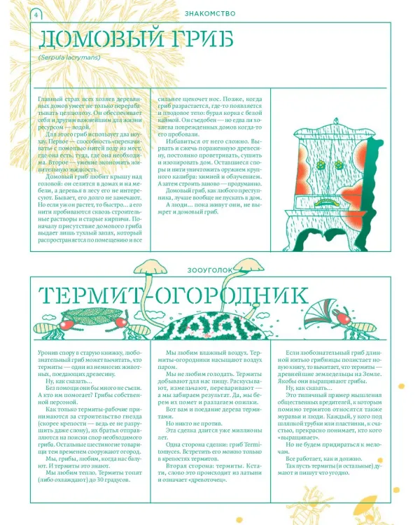 Мико. Полный путеводитель по миру грибов