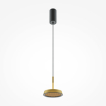 Подвесной светильник Maytoni MOD041PL-L15G3K