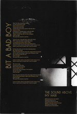 Scooter / Under The Radar Over The Top (Limited Edition)(2CD+DVD)