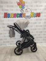 Коляска модульная Riko Basic Montana 50 Beige