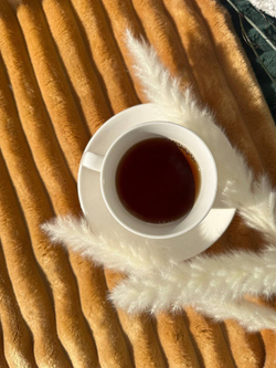 Велюр Therapy (Терапия) 008