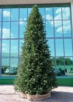 Большая елка «Сказочная» (Литая+пвх) 4,5 м