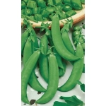 Семена Горох Амброзия (Марс) 8гр Б/П