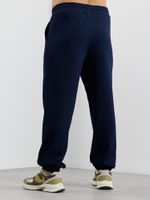 Брюки мужские Интер-3 Виотекс ИНДИГО