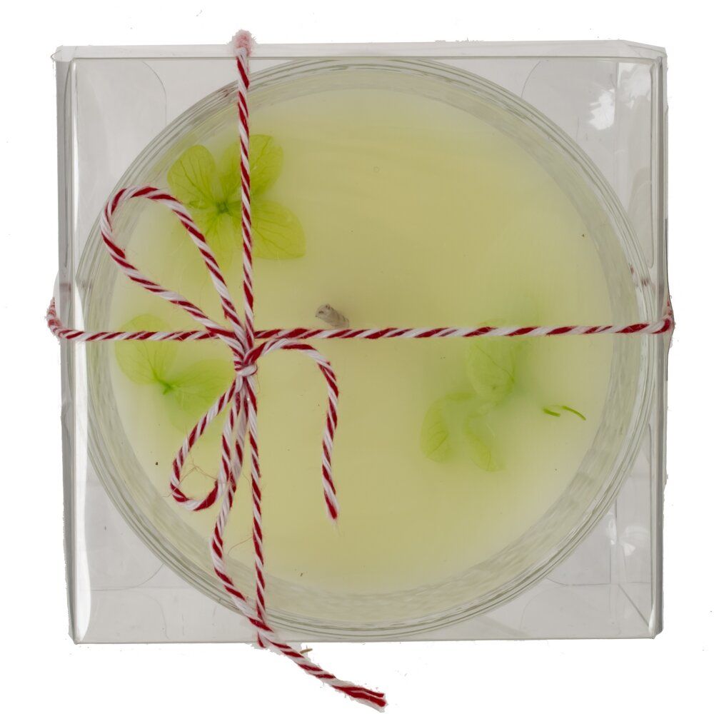 GAEM Свеча ароматическая, L8,5 W8,5 H5 см