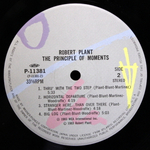 Robert Plant / The Principle Of Moments (LP)