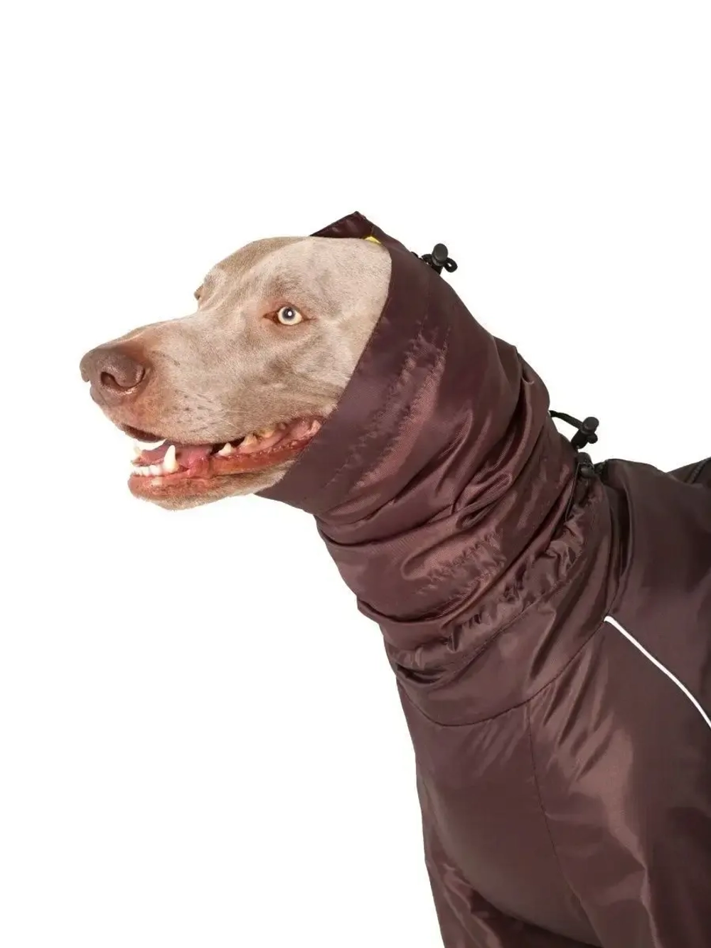 Снуды для собак непромокаемый шапка шарф для животных