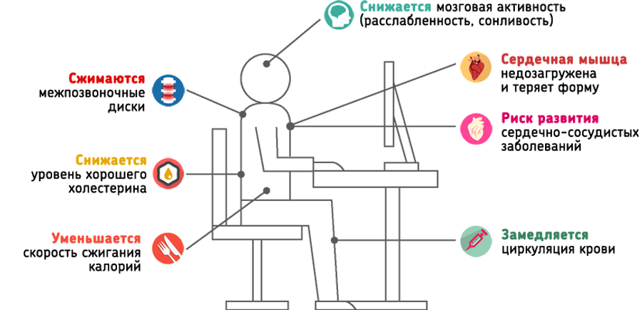 Офисное кресло: Ваш скрытый инструмент для гениальных решений. Как дизайн стула управляет вашим мозгом