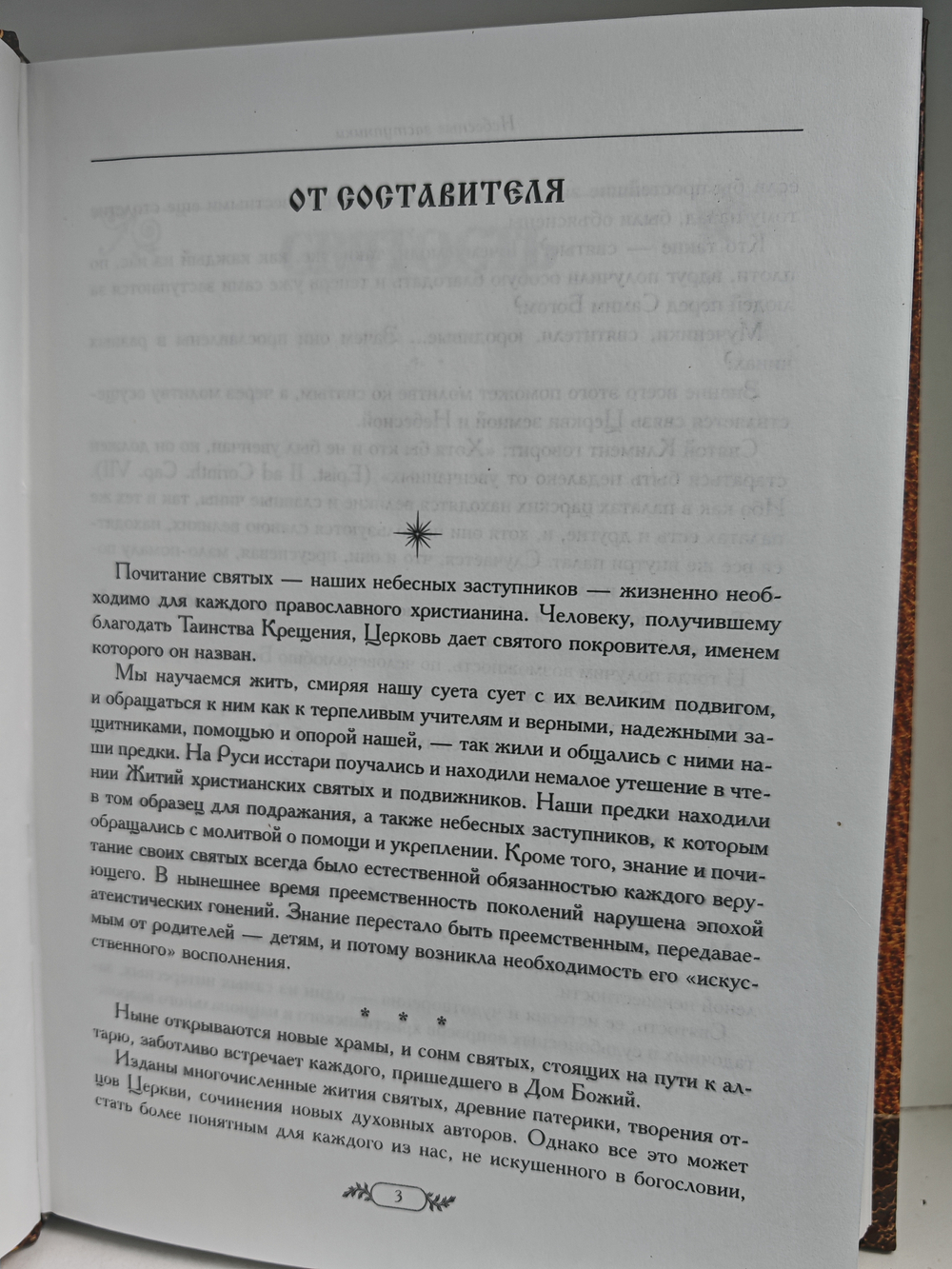 Небесные заступники