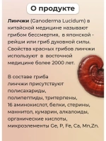 Тайский качественный Гриб Рейши Линчжи