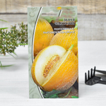 ДЫНЯ Фантазия (1г) среднеспелый Цв.пак. (10шт)