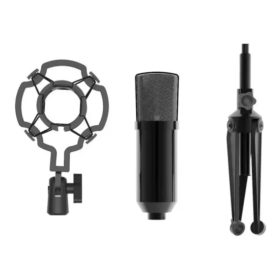 Ritmix RDM-160 Black