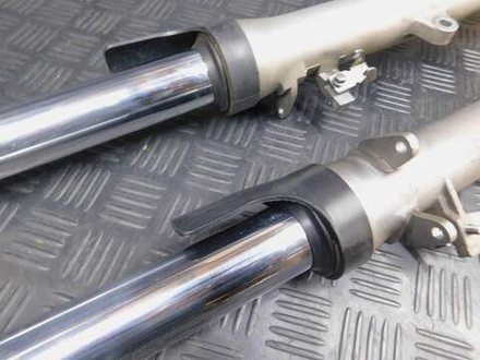 Перья вилки Yamaha TDM850 RN03J 2001