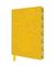 Bloknot \ Блокнот \ Notebook Vincent van Gogh: Sunflowers Artisan Art Notebook (Flame Tree Journals)