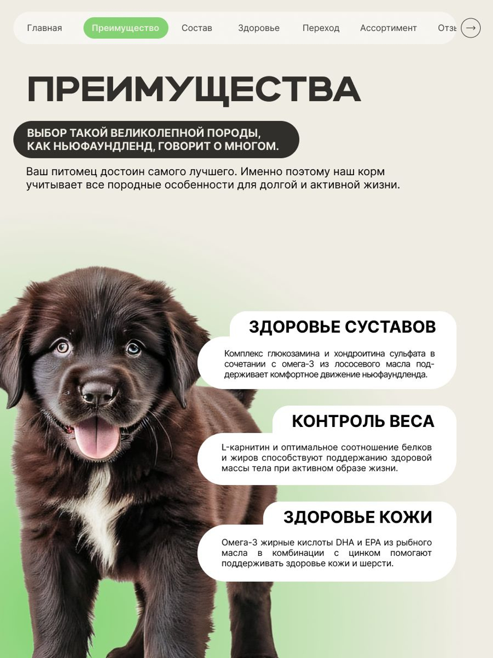 Корм сухой для щенков породы Ньюфаундленд, премиум полнорационный комплекс, с ягненком, 12 кг, QUATTRO