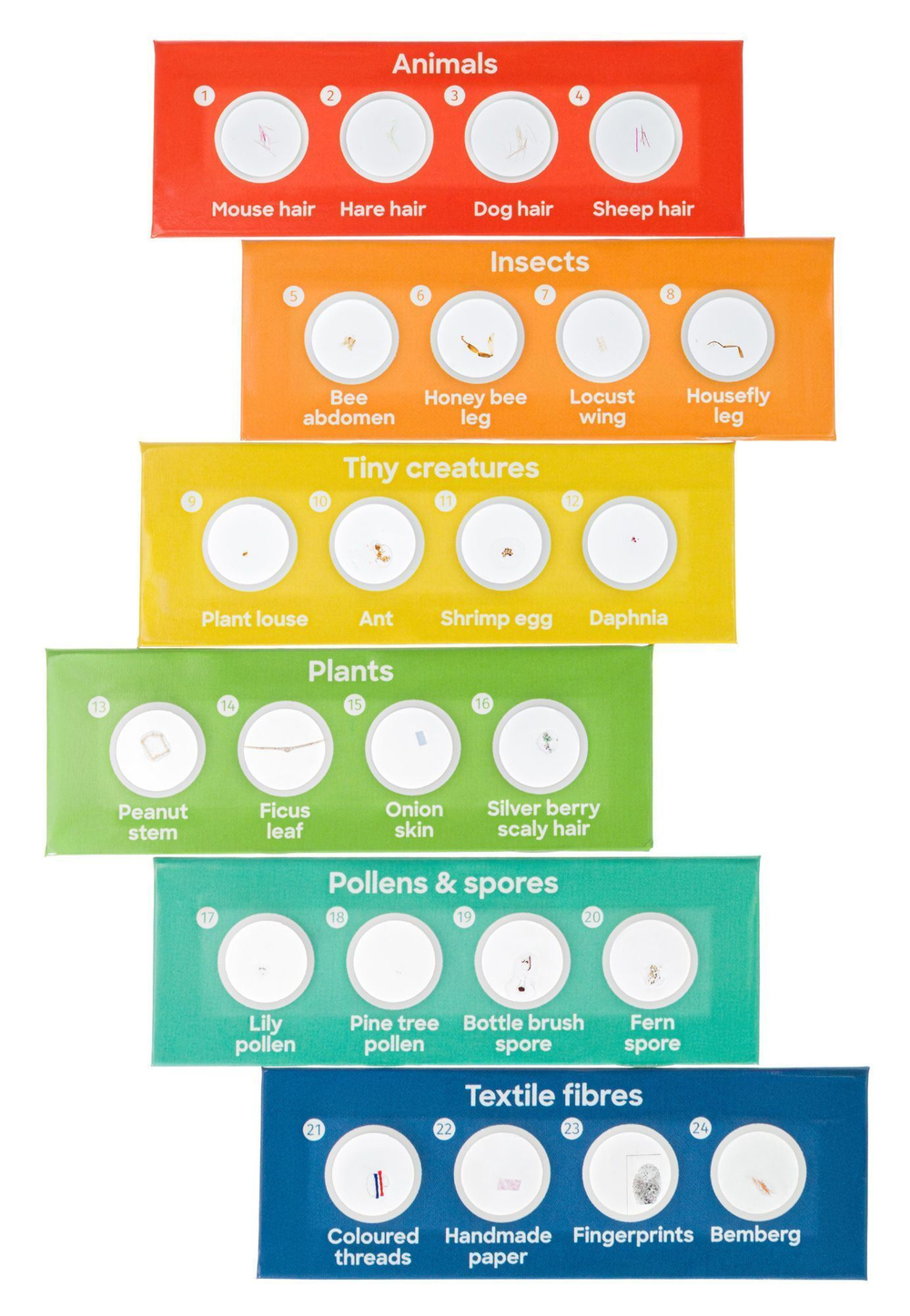 Микроскоп Levenhuk Discovery Nano Terra с книгой