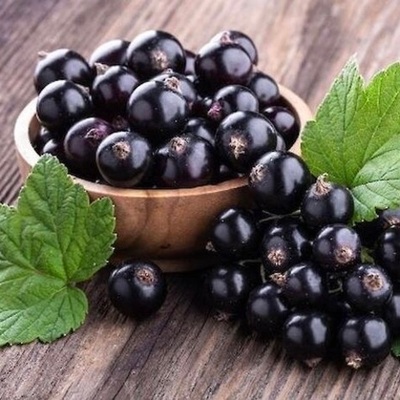 Отдушка Currant Leaves (Листья смородины)