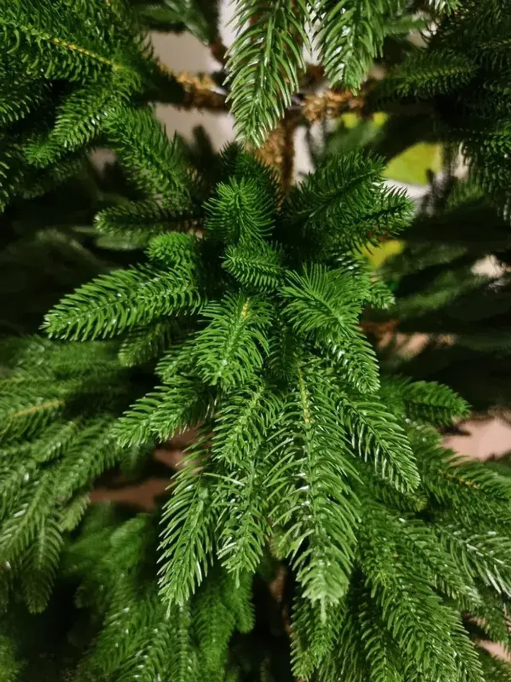 Ель искусственная «Веста» (Литая хвоя) 210 см / 2,1 м