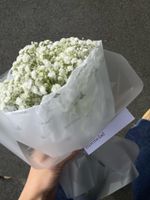 Мини букет из гипсофилы белого оттенка