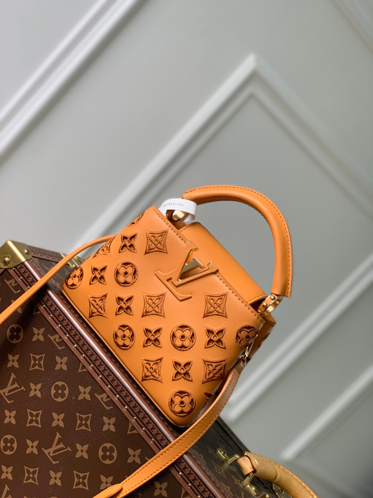 Louis Vuitton Capucines Mini