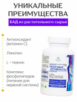 Концентрат Мозговая Активность, 60 капсул