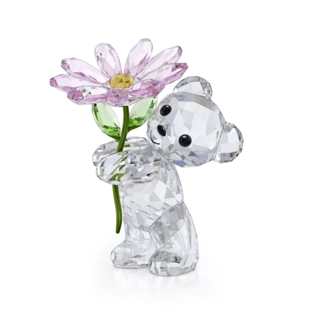 KRIS BEAR:A DAISY FOR YOU