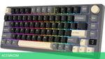 Клавиатура Royal Kludge RK-M75 Brown switch/Phantom