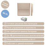 Умный беспроводной выключатель GRITT Elegance 1кл. золотистый комплект: 1 выкл., 1 реле 1000Вт 433 + WiFi с управлением со смартфона, E181110SGWF