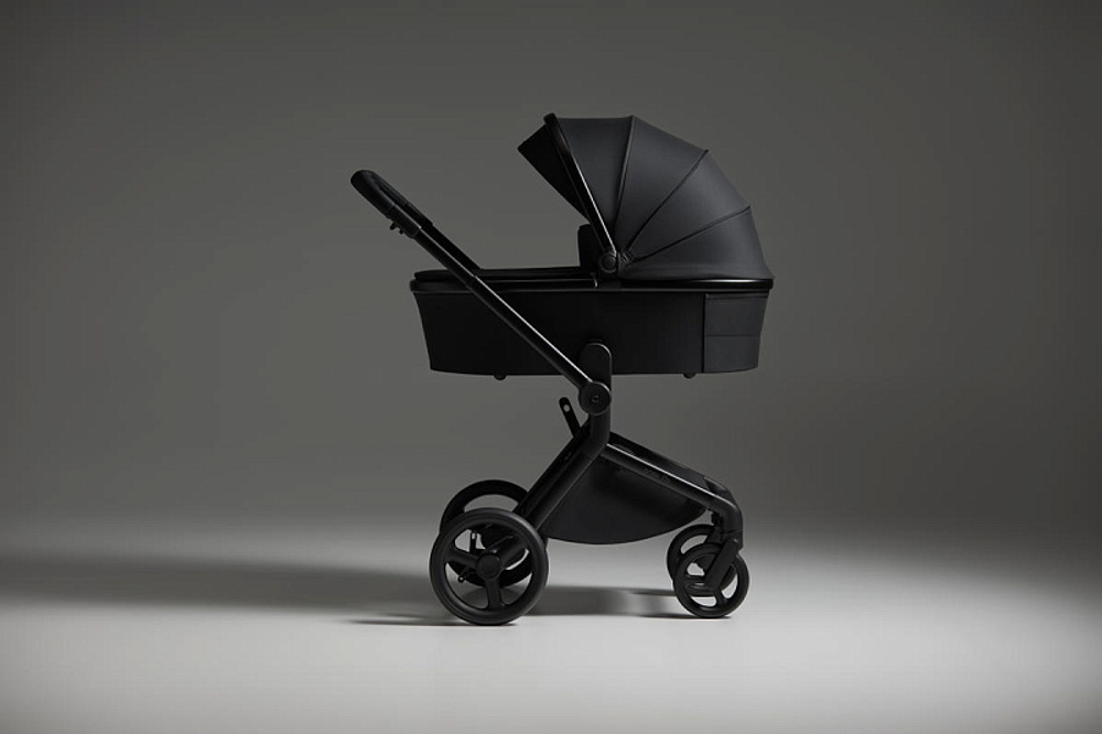 Детская коляска Anex Flo 2 в 1 Lungo